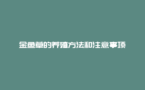 金鱼草的养殖方法和注意事项