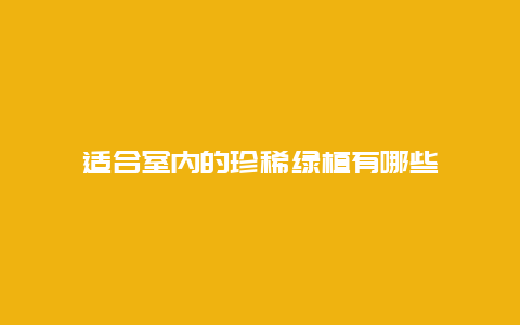 适合室内的珍稀绿植有哪些