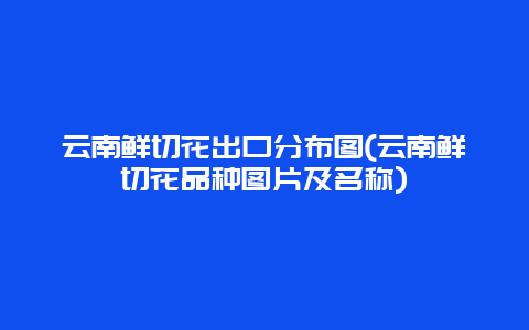 云南鲜切花出口分布图(云南鲜切花品种图片及名称)