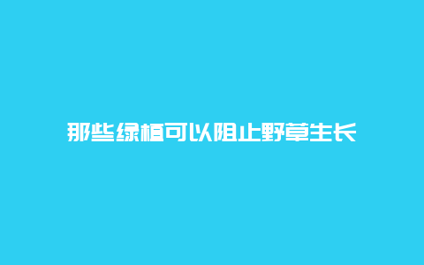 那些绿植可以阻止野草生长