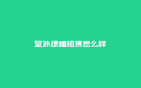 室外绿植租赁怎么样