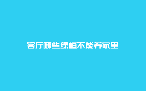 客厅哪些绿植不能养家里