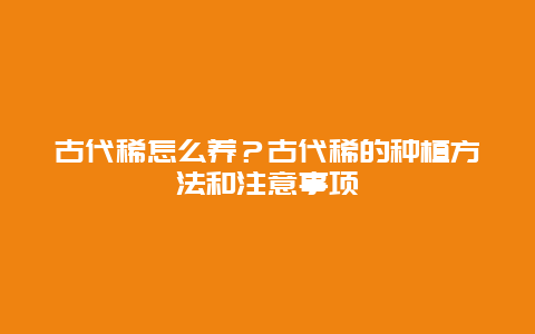 古代稀怎么养？古代稀的种植方法和注意事项