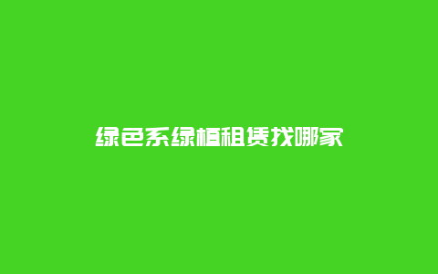 绿色系绿植租赁找哪家