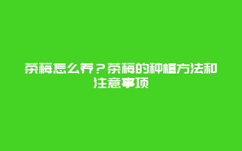 茶梅怎么养？茶梅的种植方法和注意事项