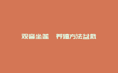 观音坐莲蕨养殖方法盆栽