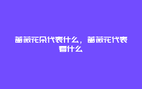 蔷薇花朵代表什么，蔷薇花代表着什么