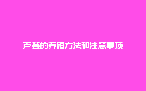 芦荟的养殖方法和注意事项