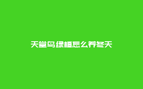 天堂鸟绿植怎么养冬天