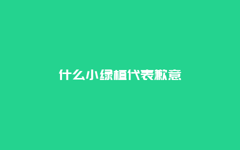 什么小绿植代表歉意