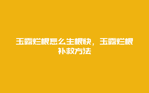 玉露烂根怎么生根快，玉露烂根补救方法