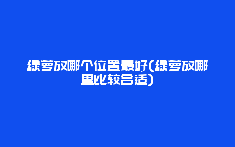 绿萝放哪个位置最好(绿萝放哪里比较合适)