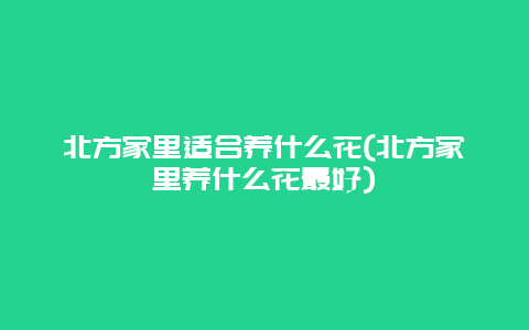 北方家里适合养什么花(北方家里养什么花最好)