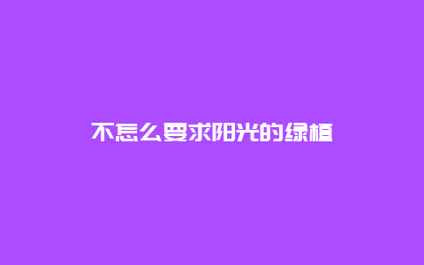 不怎么要求阳光的绿植