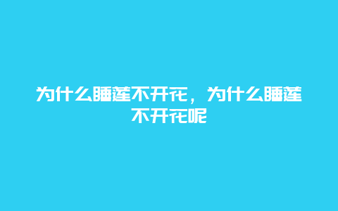 为什么睡莲不开花，为什么睡莲不开花呢