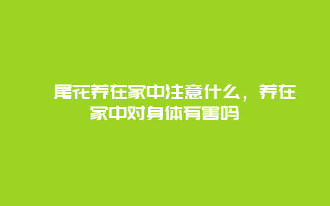 鸢尾花养在家中注意什么，养在家中对身体有害吗