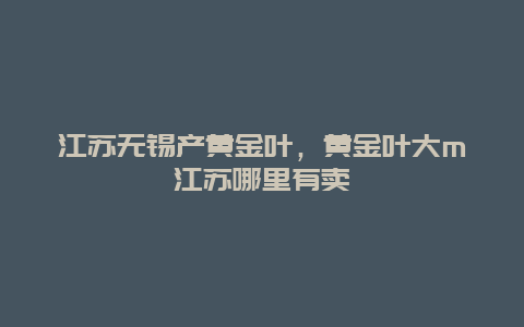 江苏无锡产黄金叶，黄金叶大m江苏哪里有卖