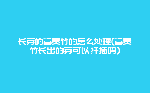 长芽的富贵竹的怎么处理(富贵竹长出的芽可以扦插吗)