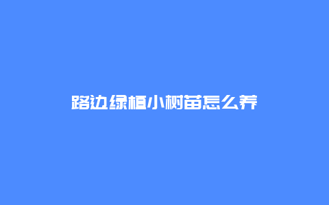 路边绿植小树苗怎么养