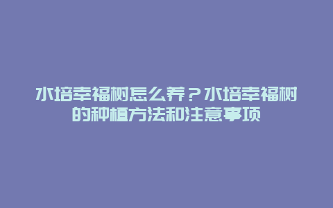 水培幸福树怎么养？水培幸福树的种植方法和注意事项