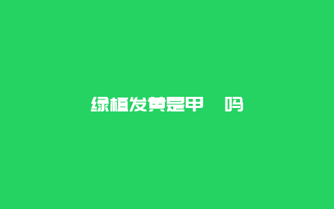 绿植发黄是甲醛吗