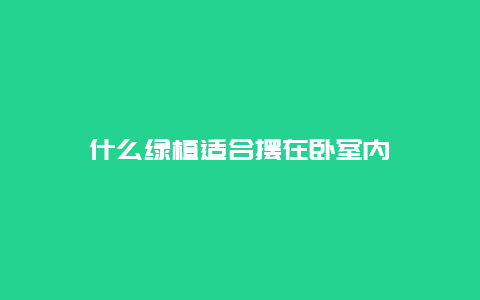 什么绿植适合摆在卧室内