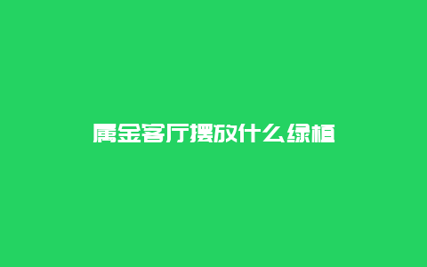 属金客厅摆放什么绿植