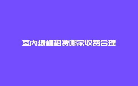 室内绿植租赁哪家收费合理