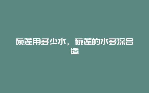 碗莲用多少水，碗莲的水多深合适