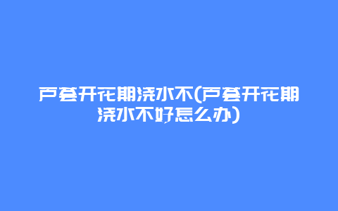 芦荟开花期浇水不(芦荟开花期浇水不好怎么办)