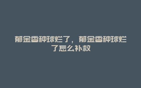 郁金香种球烂了，郁金香种球烂了怎么补救