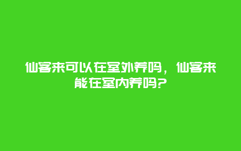 仙客来可以在室外养吗，仙客来能在室内养吗?