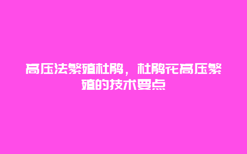 高压法繁殖杜鹃，杜鹃花高压繁殖的技术要点