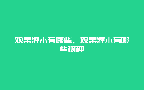 观果灌木有哪些，观果灌木有哪些树种