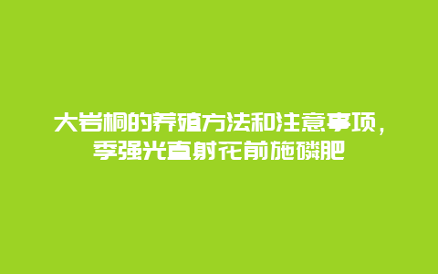 大岩桐的养殖方法和注意事项，季强光直射花前施磷肥