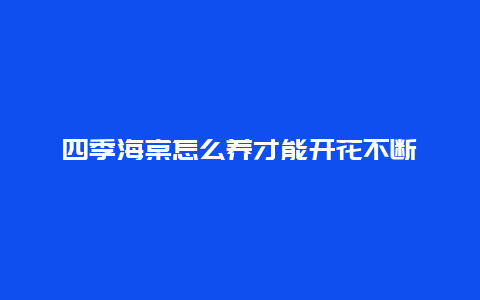 四季海棠怎么养才能开花不断