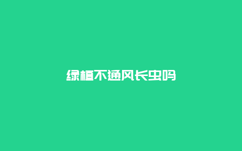 绿植不通风长虫吗