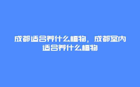 成都适合养什么植物，成都室内适合养什么植物