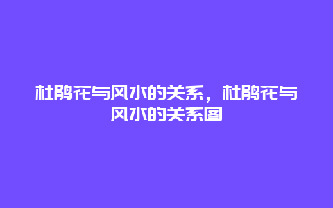 杜鹃花与风水的关系，杜鹃花与风水的关系图