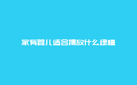 家有婴儿适合摆放什么绿植