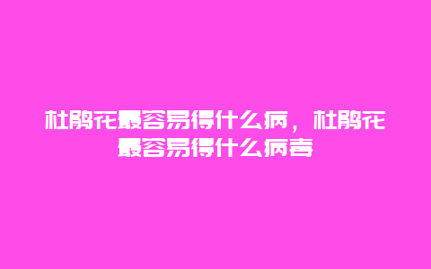 杜鹃花最容易得什么病，杜鹃花最容易得什么病毒