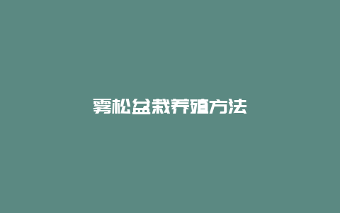 雾松盆栽养殖方法