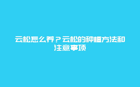 云松怎么养？云松的种植方法和注意事项