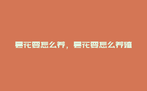 昙花要怎么养，昙花要怎么养殖