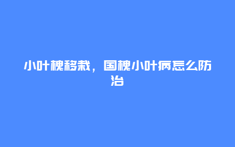 小叶槐移栽，国槐小叶病怎么防治