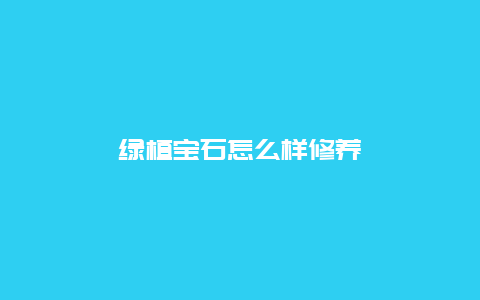 绿植宝石怎么样修养