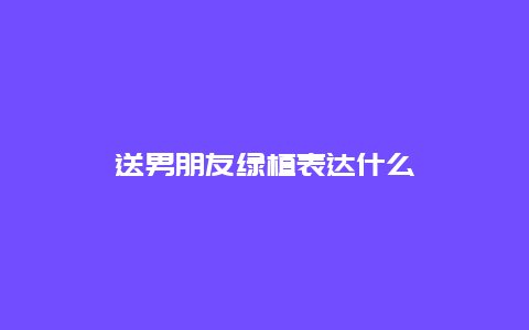 送男朋友绿植表达什么