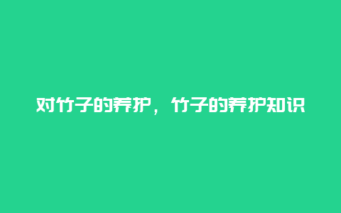 对竹子的养护，竹子的养护知识