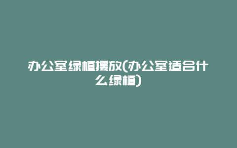 办公室绿植摆放(办公室适合什么绿植)