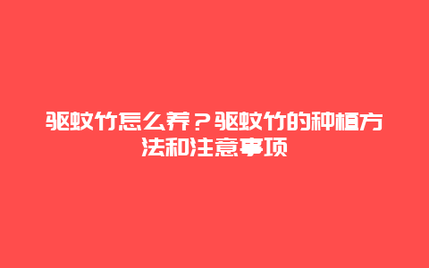 驱蚊竹怎么养？驱蚊竹的种植方法和注意事项